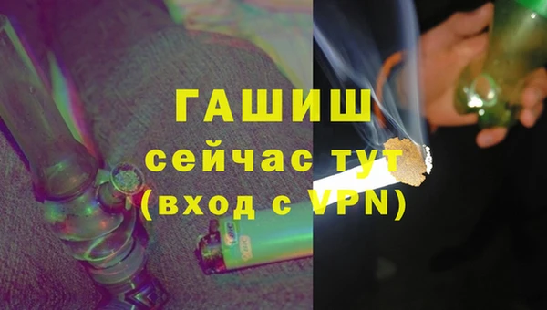 прущие грибы Алзамай