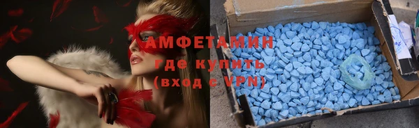 прущие грибы Алзамай