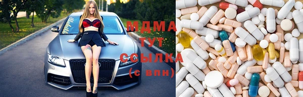 прущие грибы Алзамай