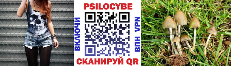 где купить наркоту  Кирс  Псилоцибиновые грибы мицелий 